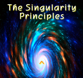 The Singularity Principles - New publication