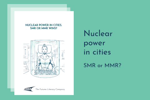 Nuclear Power in Cities - Mini-Report by the Poland Node