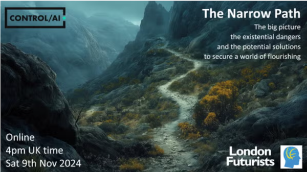 The Narrow Path – the big picture – November 9, 2024