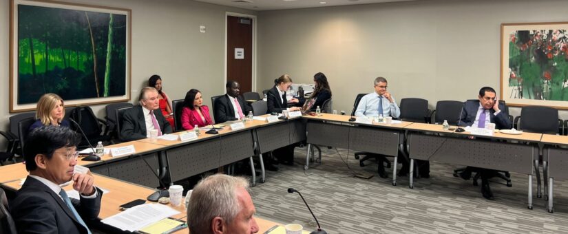 The Millennium Project Brings AGI to the Fore at UN High-Level Meetings